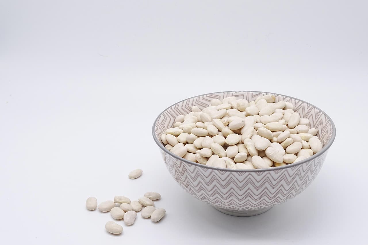 Budget-Friendly High-Protein Meals