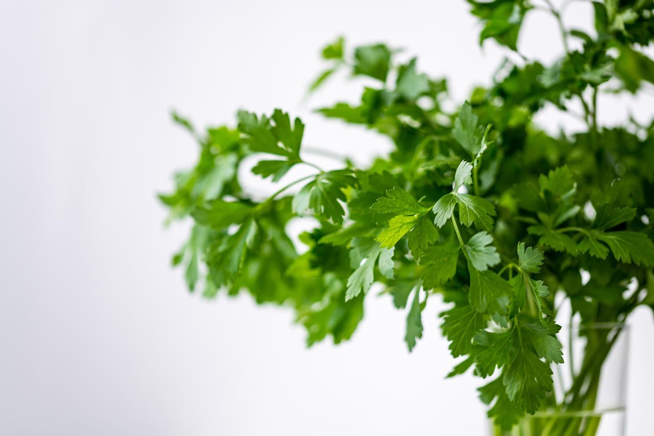 Food Guilt After a 'Bad' Day: What Actually Helps