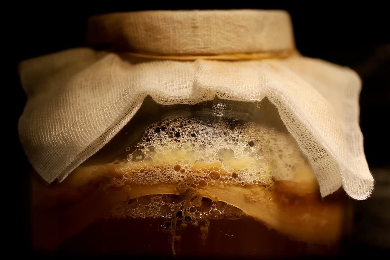 Gut Health Basics: What Actually Helps Digestion