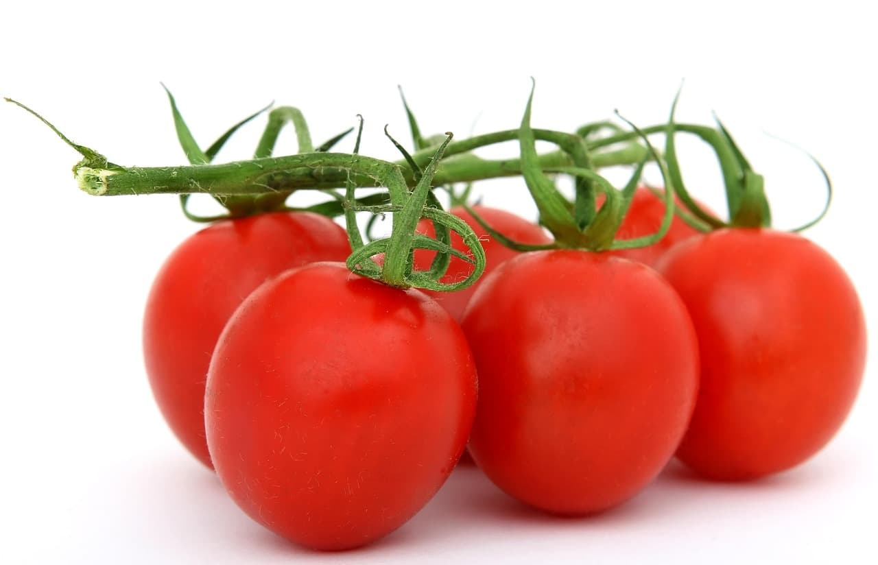 Reading Between the Lines: Diet Myths Debunked