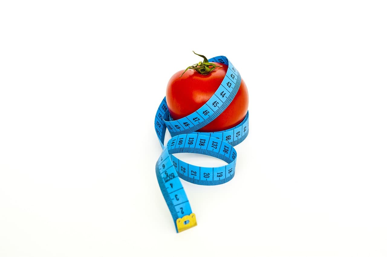 Understanding Portion Sizes Without a Food Scale